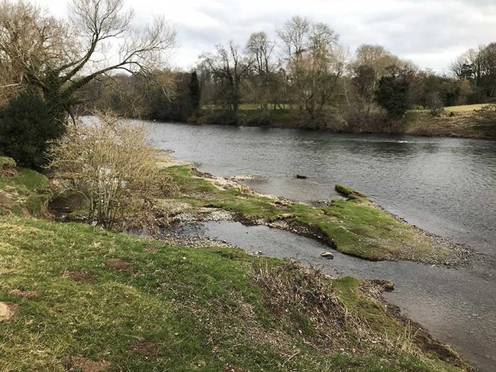 Banks of the Wye