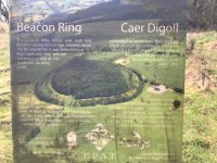 Beacon Ring