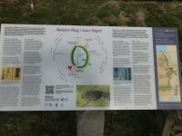 Beacon Ring Sign