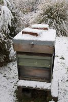 Beehive in the snow