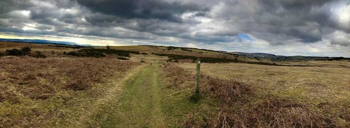 Disgwylfa Hill