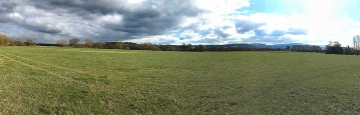 Fertile Fields