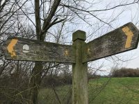 Follow the Signs
