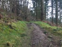 Granner Wood