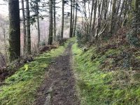 Granner Wood
