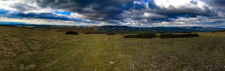 Radnor Hills from Hergest Ridge