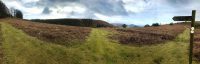 Herrock Hill