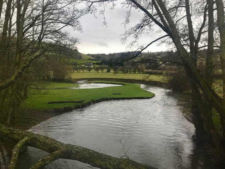 Meander