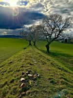 Offa's Dyke Embankment
