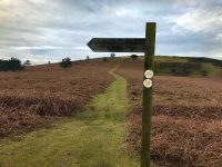 Offa's Dyke Signs on Herrock Hill