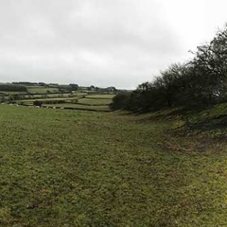 Offa's Dyke topped with trees