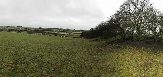 Offa's Dyke topped with trees