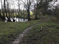 Pondside Path