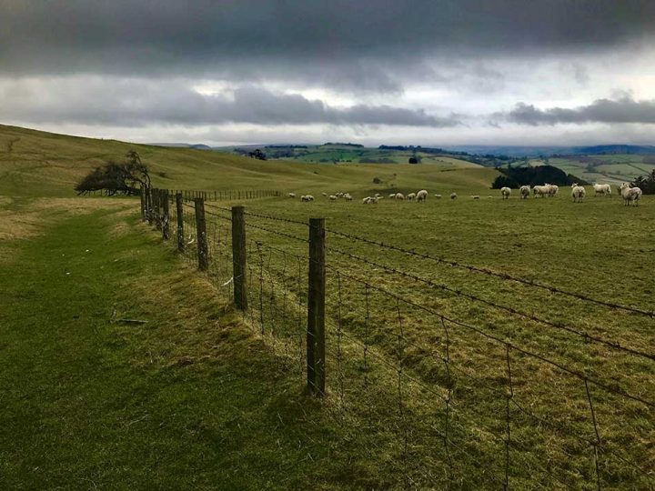Running across the Hills