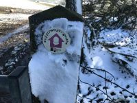 Signs in the Snow
