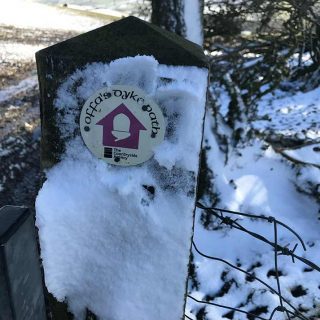 Signs in the Snow