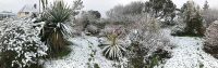 Snowy Garden Pano