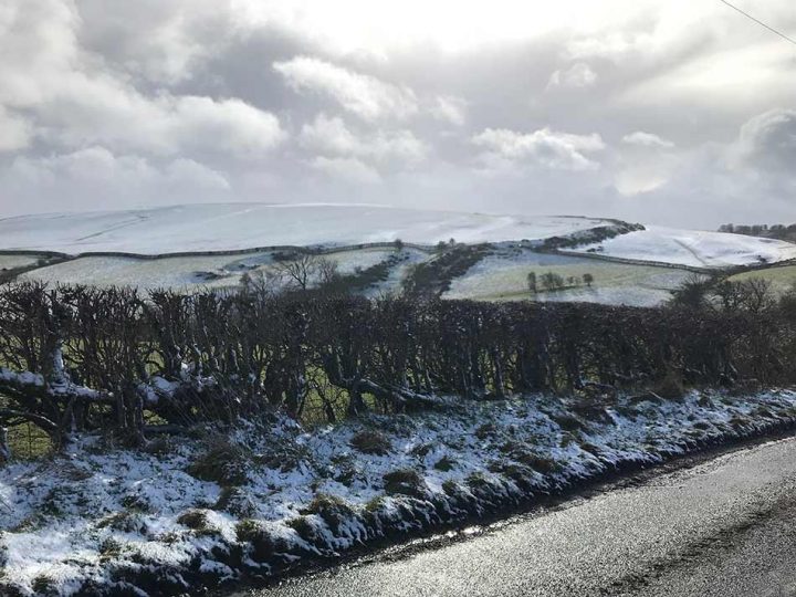 Snowy Hills