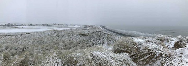Snowy Ynyslas