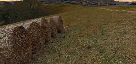 Straw Bales
