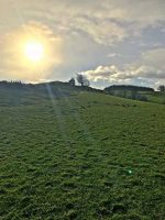 Sunshine on the Dyke