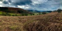Welsh Hills