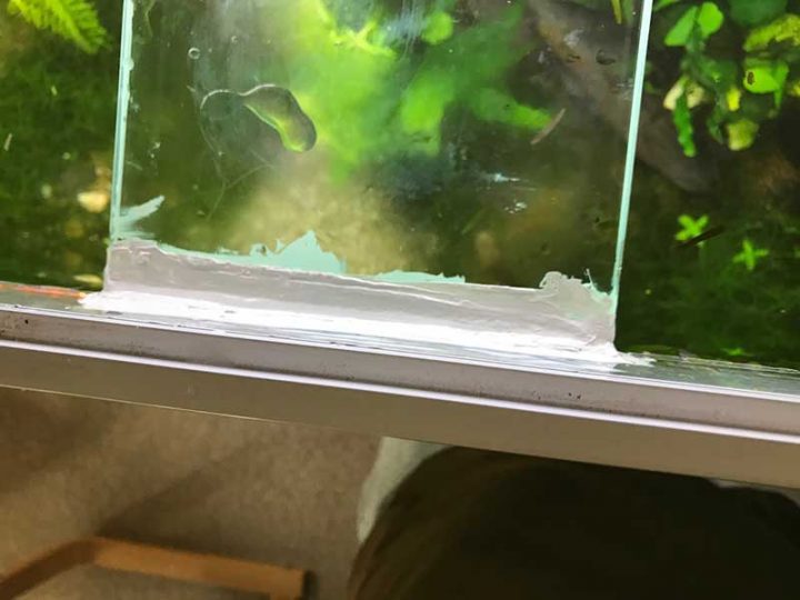 Messy silicon