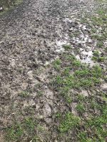 waterlogged field