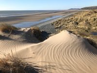 Patterns in the sand