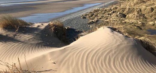 Patterns in the sand