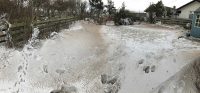 Sand covered Snow