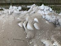 Sandy Drifts