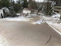 Sandy Snow Drifts