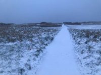 Snow Again