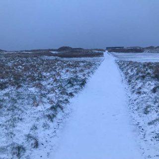 Snow Again