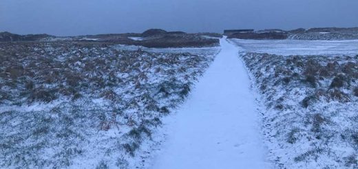 Snow Again