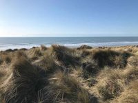 Ynyslas