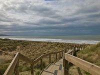 Boardwalk Views