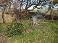 Garden Clearance