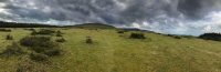 Grassy hillside