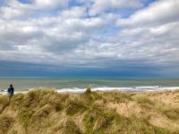Overlooking the Surf