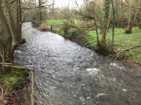 River Honddu