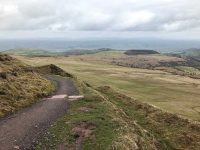 Well kept path