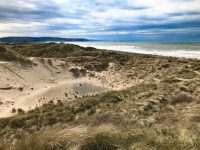 Ynyslas Dunes