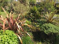 Architectural Border