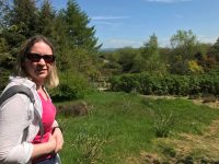 Bwlch-y-Geufford