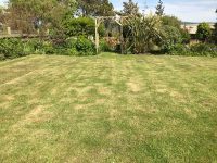 Garden Lawn