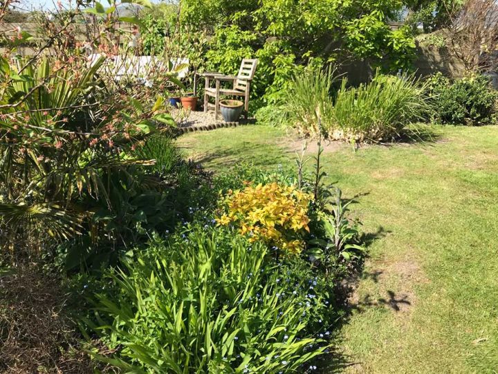 Garden in Spring