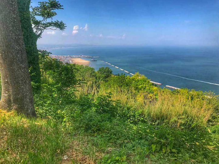 Panoramica Viewpoint