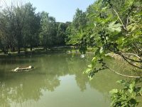 Park